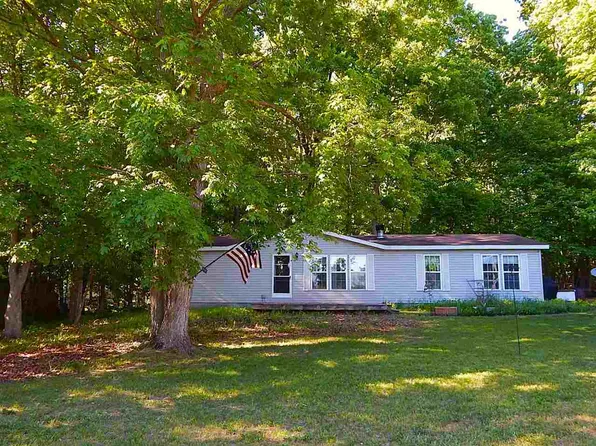 6761 Armock Rd, Alanson, MI 49706
