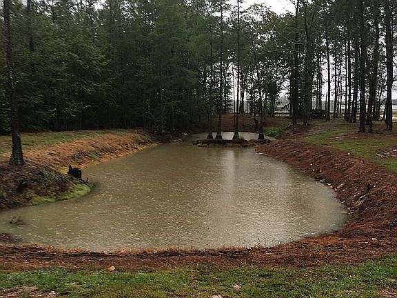 Small Fish Pond