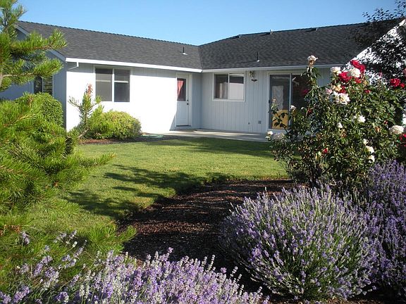 Back yard, patio, back of home