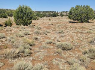 Apn 205 54 7, Saint Johns, AZ 85936