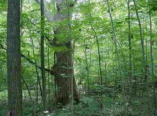 LOT 3 Scipio Rd, Spencerville, IN 46788