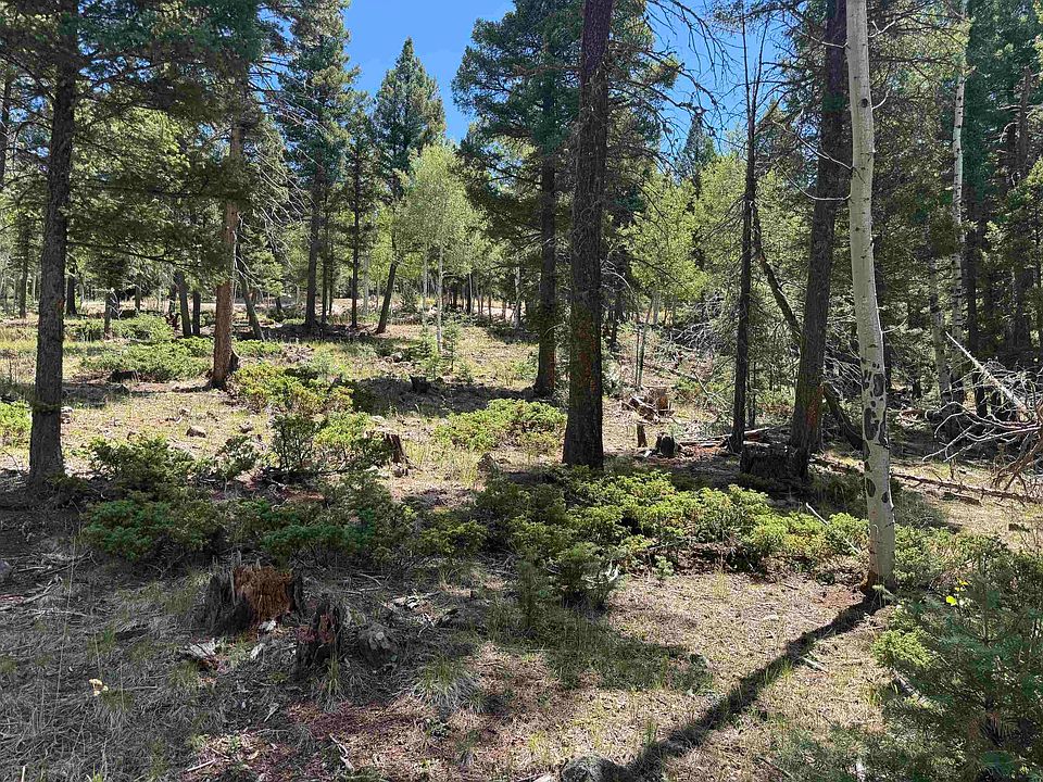 1st image of Lot 561 El Camino Real