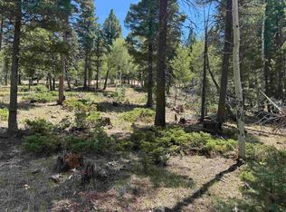 Lot 561 El Camino Real, Angel Fire, NM 87710