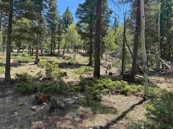 Lot 561 El Camino Real, Angel Fire, NM 87710