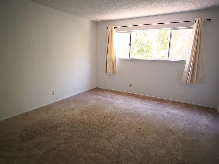 38663 Hastings St #4 — Photo 7