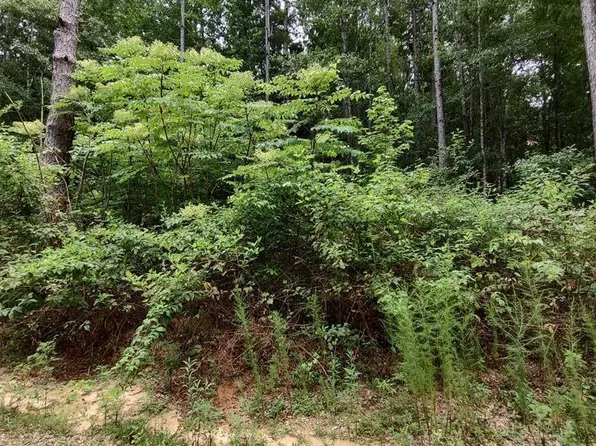 0 Lakeshore Dr, Lumberton, MS 39455