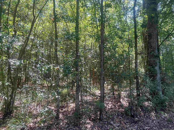 4th image of 10240 Old Plank Rd
