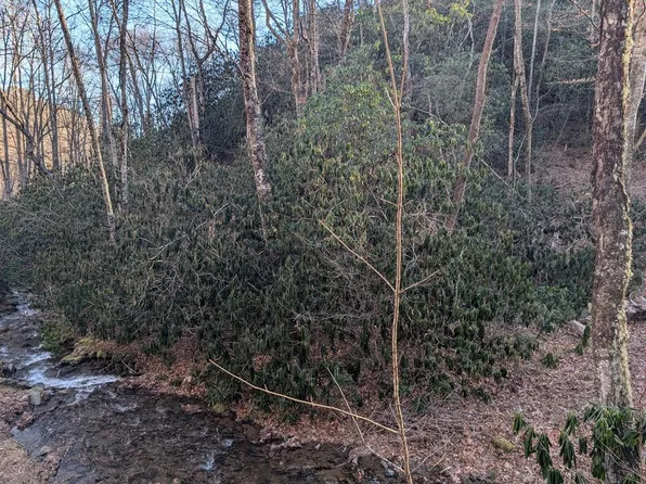 0 Meadow View Trl, Franklin, NC 28734