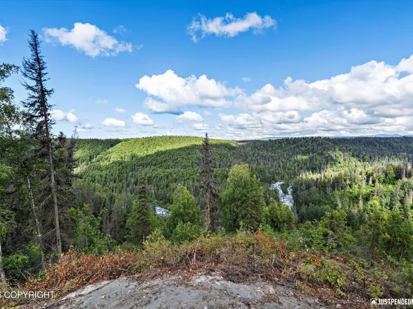 12431 W Snowberry Rd, Willow, AK 99688