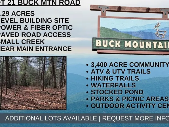LOT 21 Buck Mountain Rd Lot 21, Purlear, NC 28665