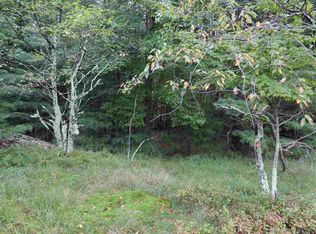 73 Grassy Ridge Rd, Olivebridge, NY 12461