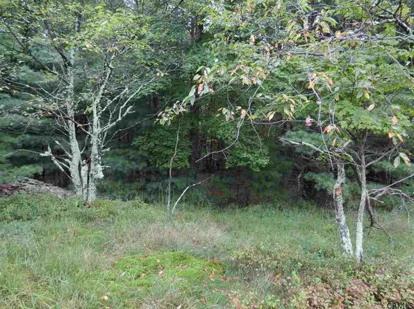 73 Grassy Ridge Road, Sammonsville, NY 12461