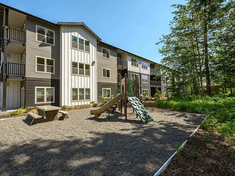 A forested playground by Alder Creek
