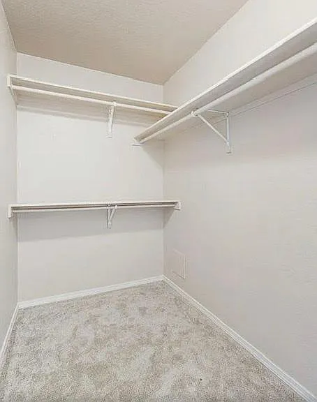 14189 Strata Rock Dr — Photo 9