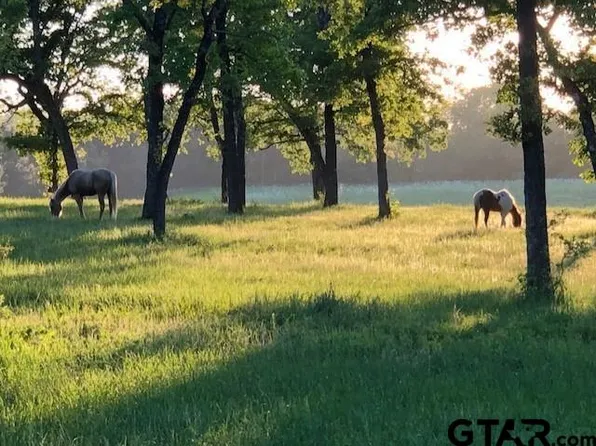 11720 Fm 59, Athens, TX 75751