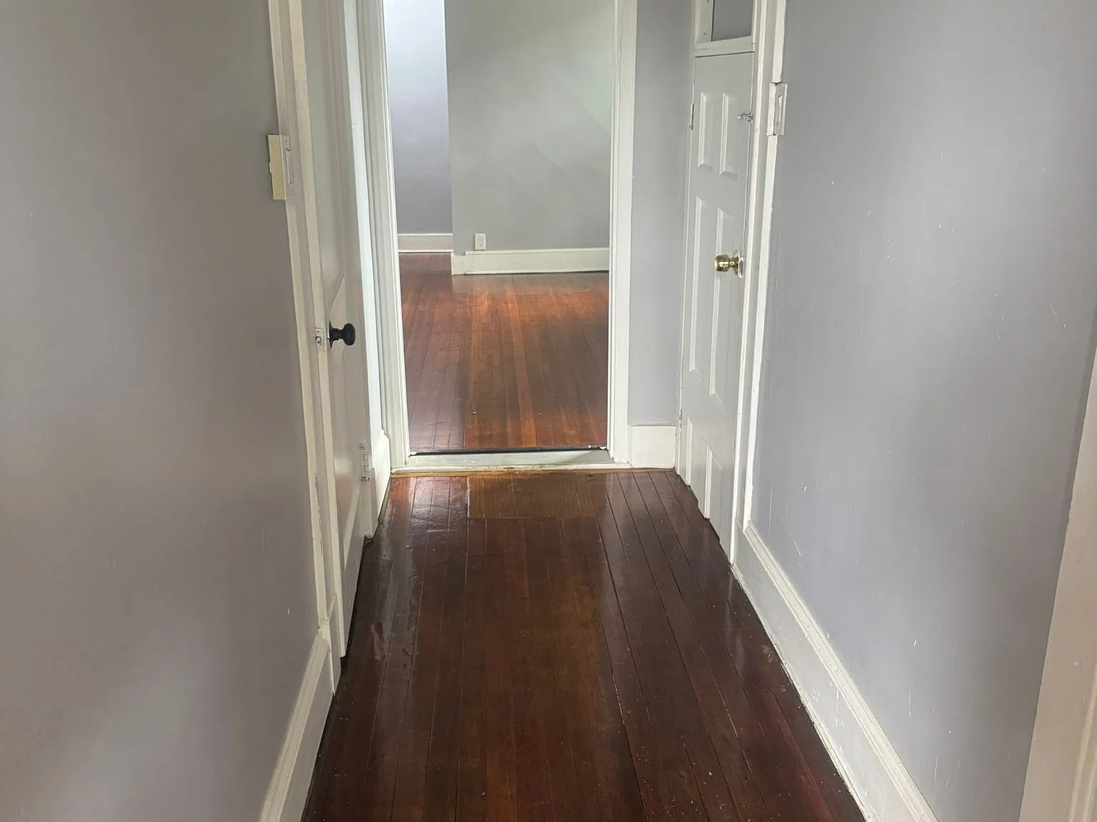 3 bed, 1150 sqft, $2,200 — Photo 3