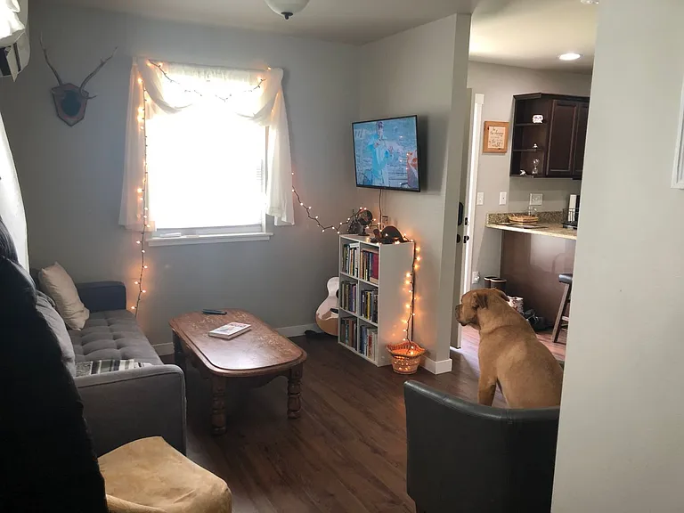2520 Undine St — Photo 8