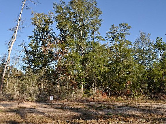 Beautiful 1 acre wooded lot