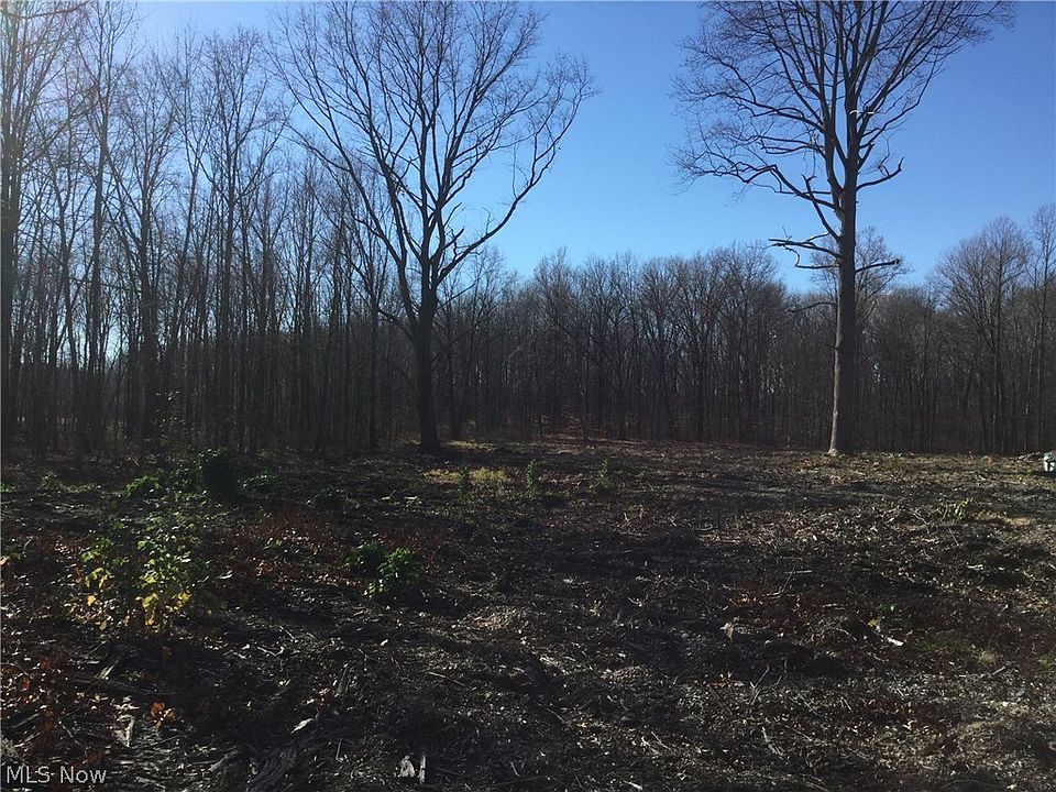 2nd image of Struthers Rd