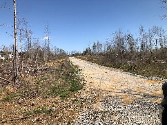 2nd image of 290 County Rd