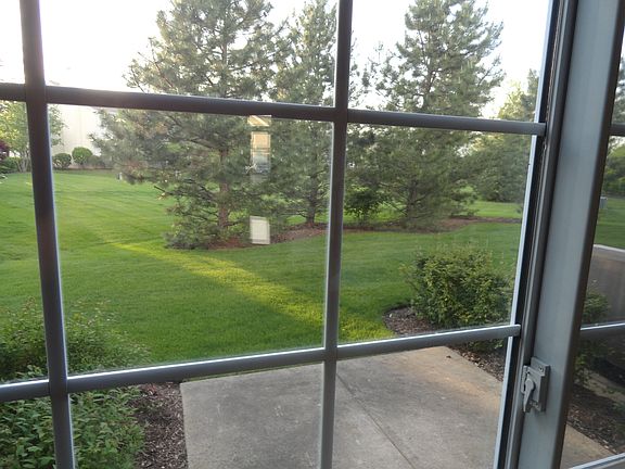 Backyard view