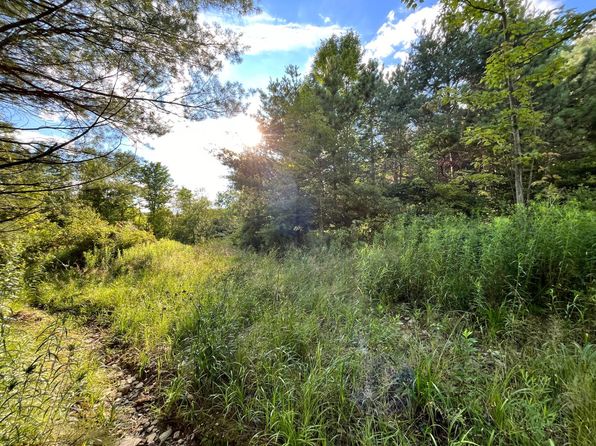 0 S Greenbush Rd #16, Erin, NY 14838