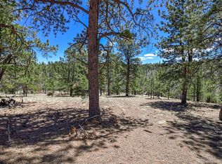 112 Blue Jay Lane, Florissant, CO 80816