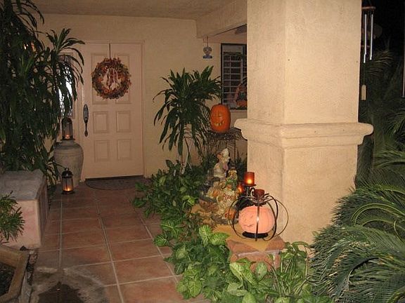 Front patio and garden