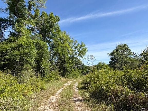2nd image of 0 Sandy Creek Rd Lot 40