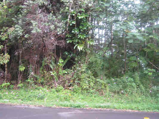 1st image of Leisure Ln Lot 243