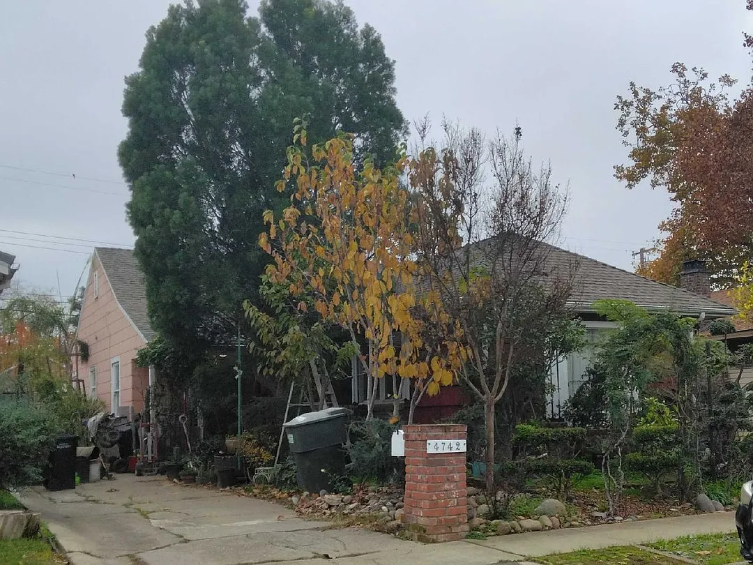 4742 15th Ave photo 1