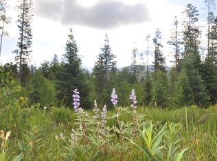 515 Forest Trl, Winter Park, CO 80482