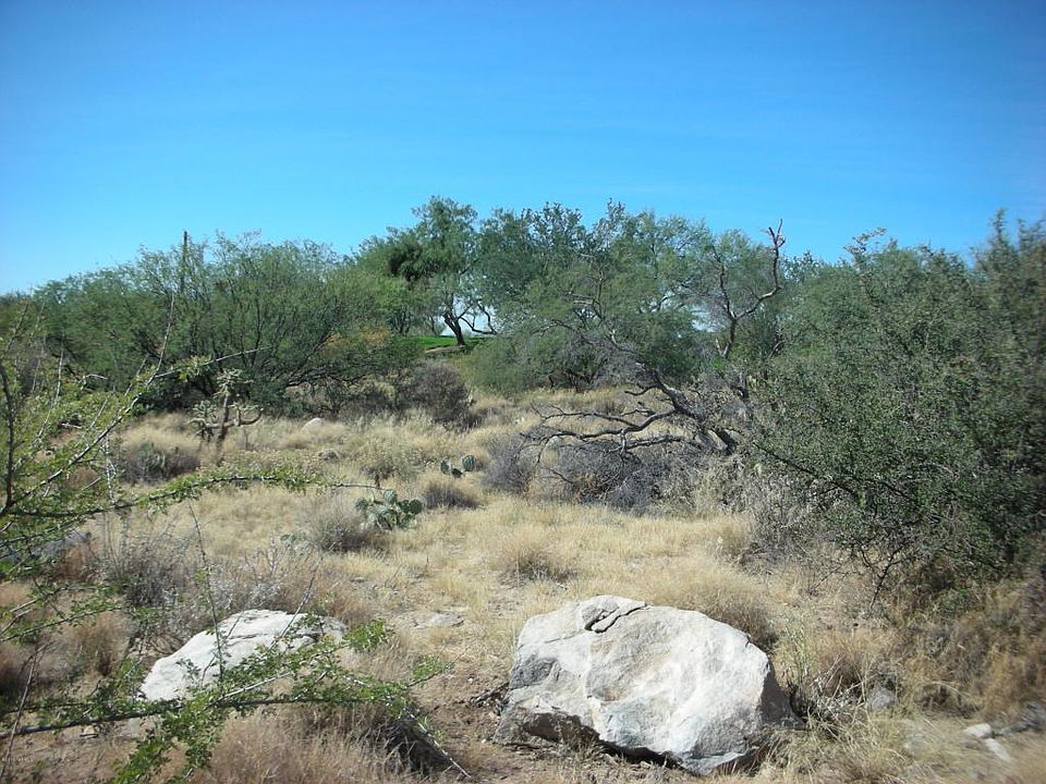 1st image of 14341 N Giant Saguaro Pl