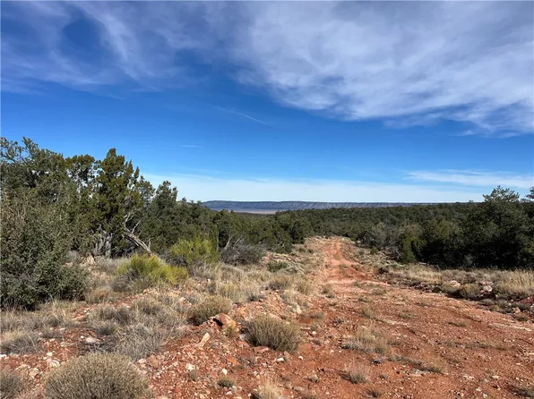 1022 N Duffis Bluff Rd, Seligman, AZ 86337