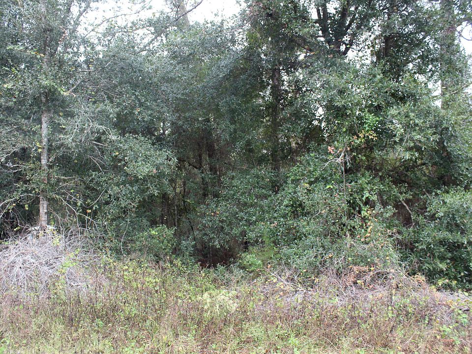1st image of 133 Ashley Lake Dr