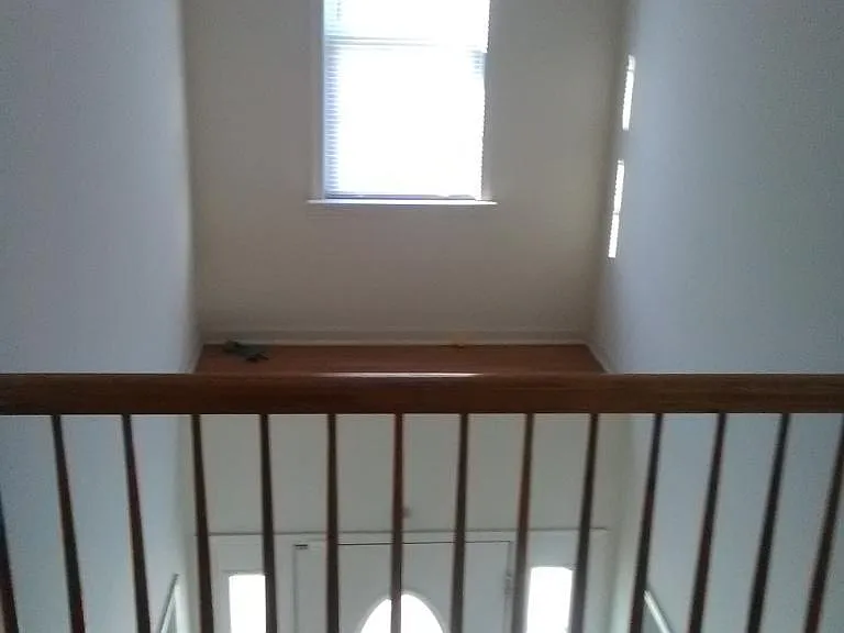 9035 Mullen Rd — Photo 23