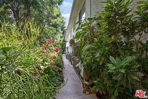 944 Palm Ave Photo 1