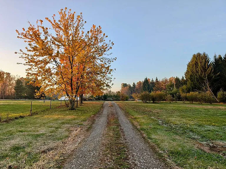 3899 State Route 229 — Photo 11