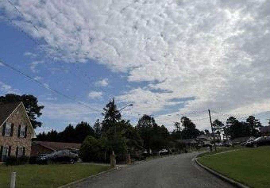 2nd image of 4109 Pinnacle Pines Ct