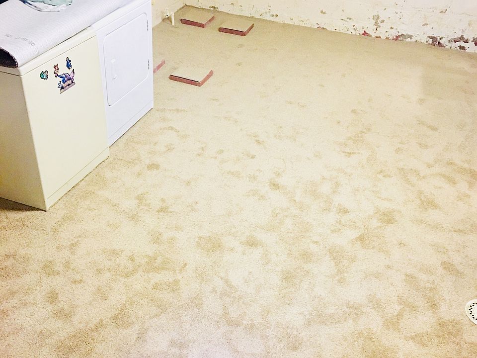 1st image of 8 Bentley Ave