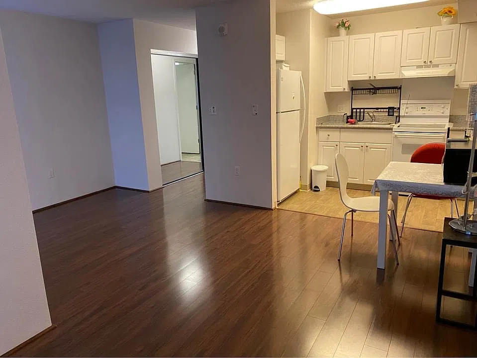 Studio, 377 sqft, $2,000 — Photo 3