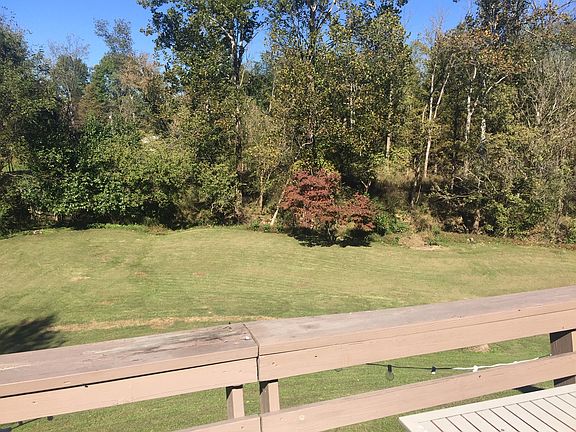 Backyard creek/woods