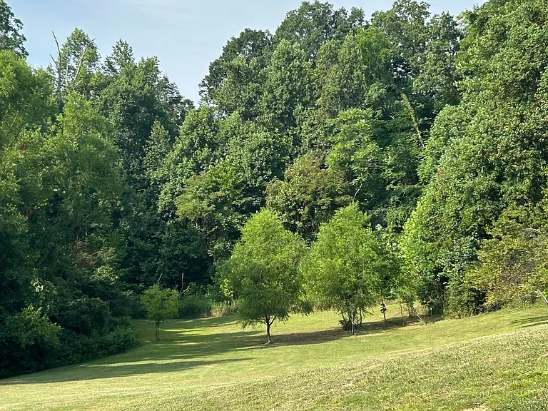2730 County Road 55 — Photo 36