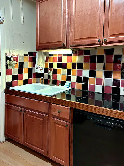 Right side of kitchen with double sink and dishwasher
