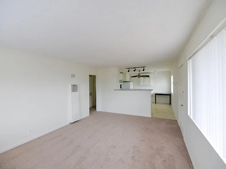 118 Avenida Del Poniente — Photo 9