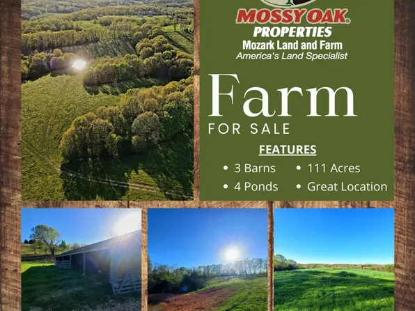 0 Bass Hollow Rd, Galena, MO 65656