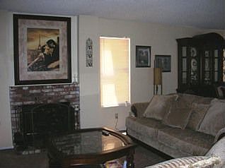 Fireplace in Family Room
