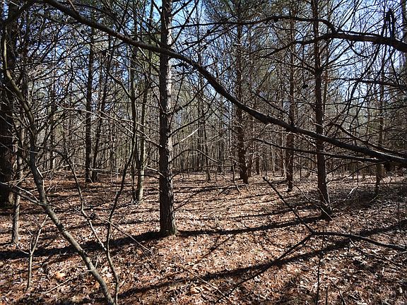 5th image of 192 Horseshoe Trl
