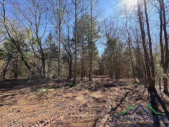 5th image of LOT 1 County Road 4365