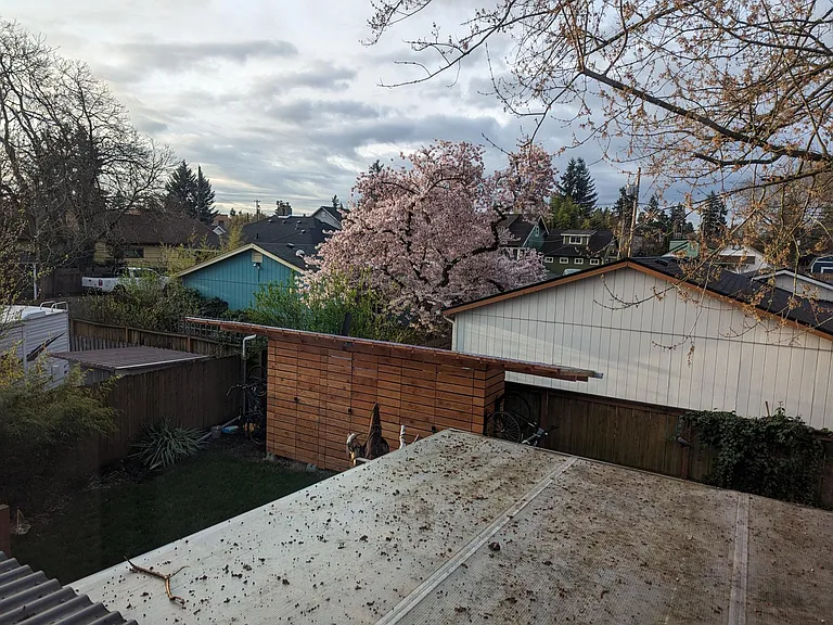 Looking out into private back yard.